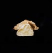 156 Apfel Gyoza (6 Stück)