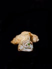 9 Shrimps Gyoza (6 Stück)
